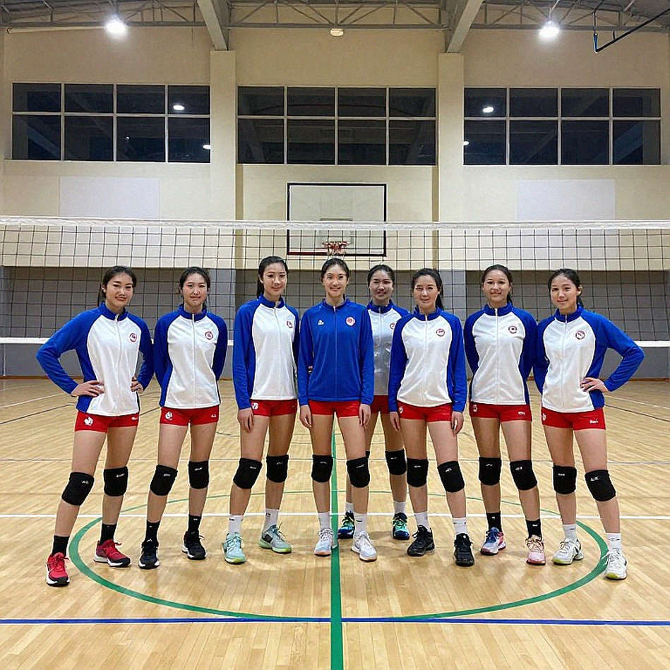 Vietnamese Volleyball Data and the Verification Gap